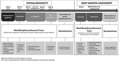 Body growth assessment in children with IgE-mediated cow's milk protein allergy fed with a new amino acid-based formula